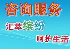 信息咨詢服務 定義、流程與核心價值