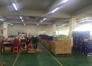 聚壹生物 商丘專業的洗衣片代加工與信息咨詢服務提供商